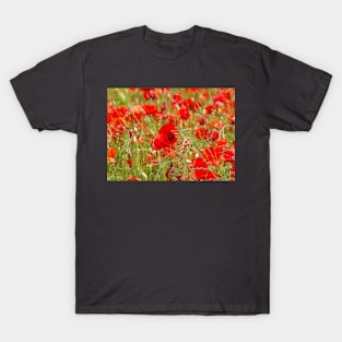 Field of poppys T-Shirt